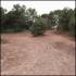 infantil-circuit_motos -3